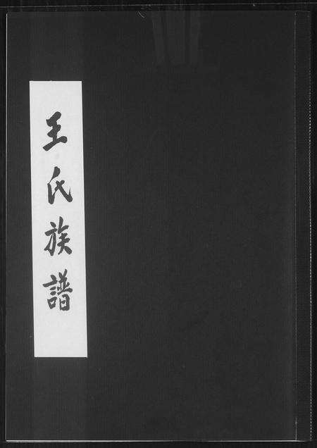 福建王氏族谱-王氏族谱.pdf电子版缩略图