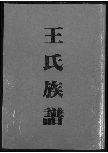 福建王氏族谱-王氏族谱.pdf电子版缩略图