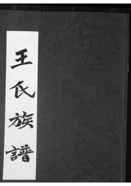 福建王氏族谱-王氏族谱.pdf电子版缩略图