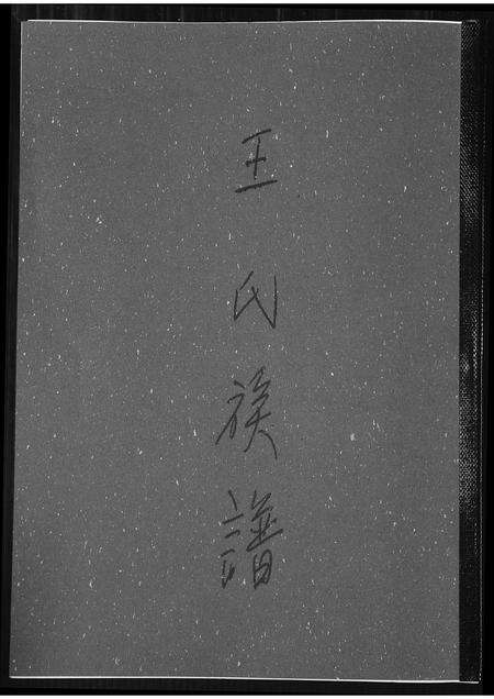 福建王氏族谱-王氏族谱.pdf电子版缩略图