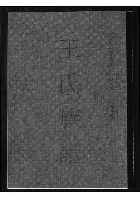福建王氏族谱-王氏族谱.pdf电子版缩略图
