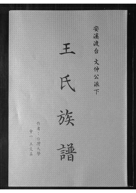 福建王氏族谱-王氏族谱.pdf电子版缩略图