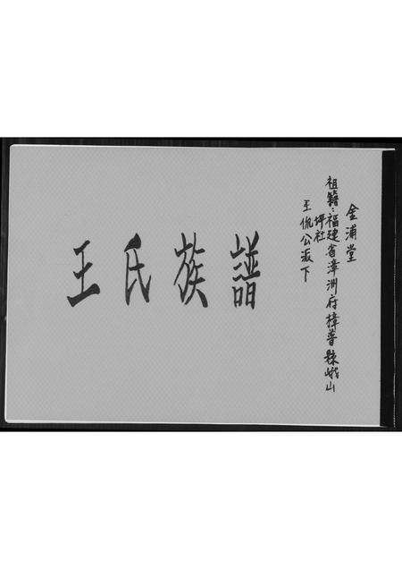 福建王氏族谱-王氏族谱.pdf电子版缩略图