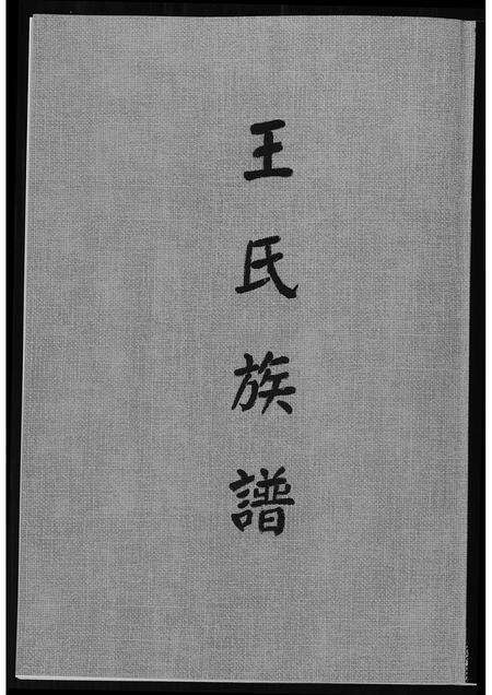 福建王氏族谱-王氏族谱.pdf电子版缩略图