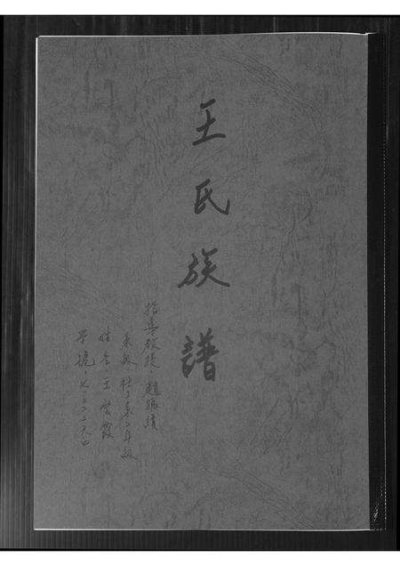 福建王氏族谱-王氏族谱.pdf电子版缩略图