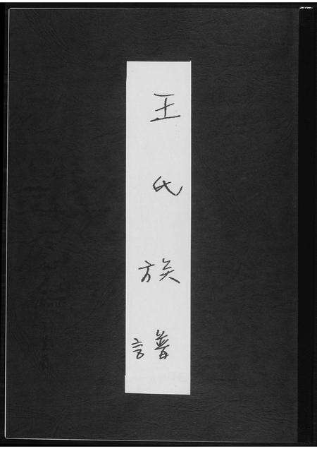 福建王氏族谱-王氏族谱.pdf电子版缩略图