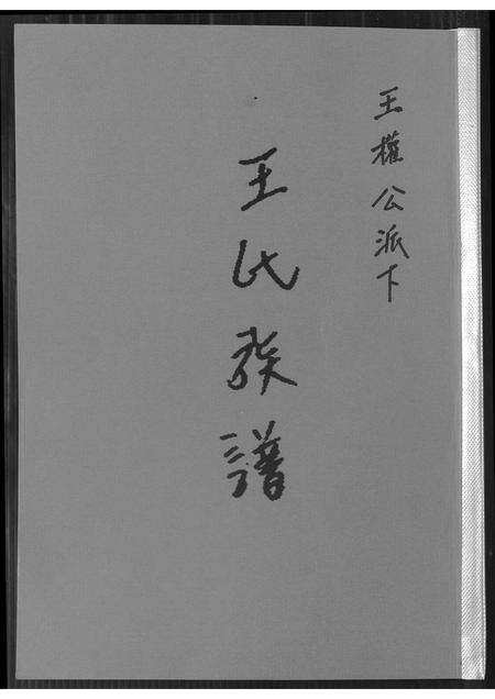 福建王氏族谱-王氏族谱. 王权公派下.pdf电子版缩略图