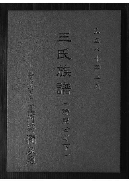 福建王氏族谱-王氏族谱.禄盛公派下.pdf电子版缩略图