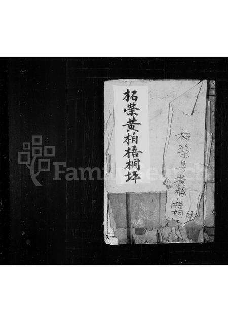 福建王氏族谱-[王氏族谱].pdf电子版缩略图