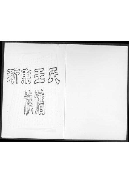 福建王氏族谱-珩东王氏族谱.pdf电子版预览图1