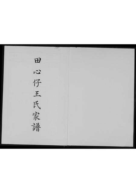 福建王氏族谱-田心仔王氏家谱.pdf电子版预览图1