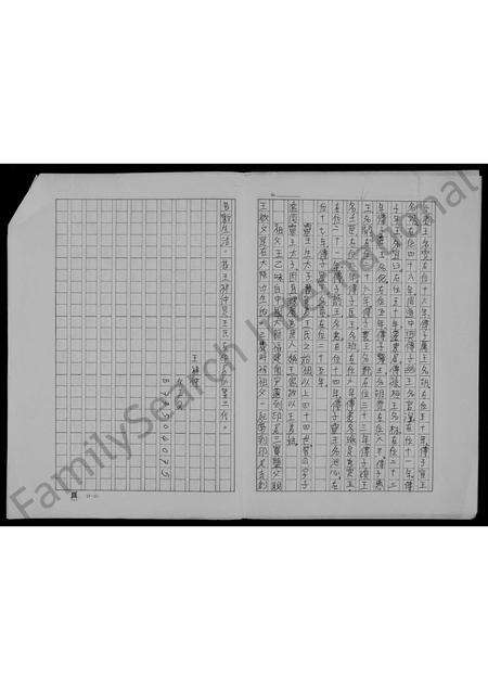 福建王氏族谱-王氏家谱.pdf电子版预览图1