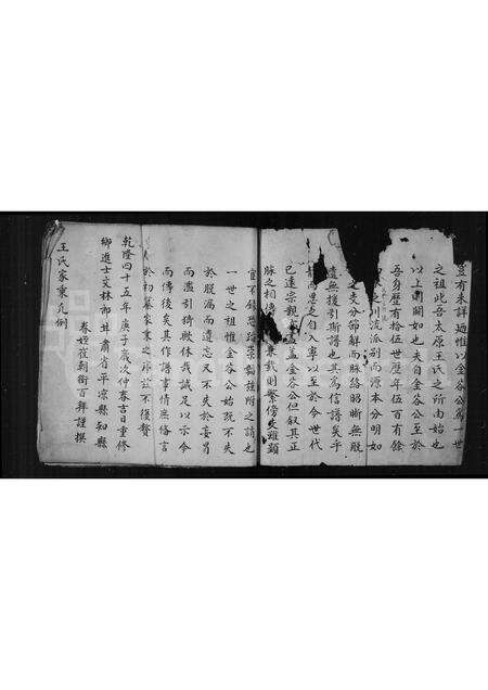 福建王氏族谱-王氏家乘.pdf电子版预览图1