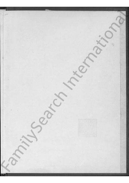 福建王氏族谱-清溪华美派王氏家谱 [不分卷].pdf电子版预览图1