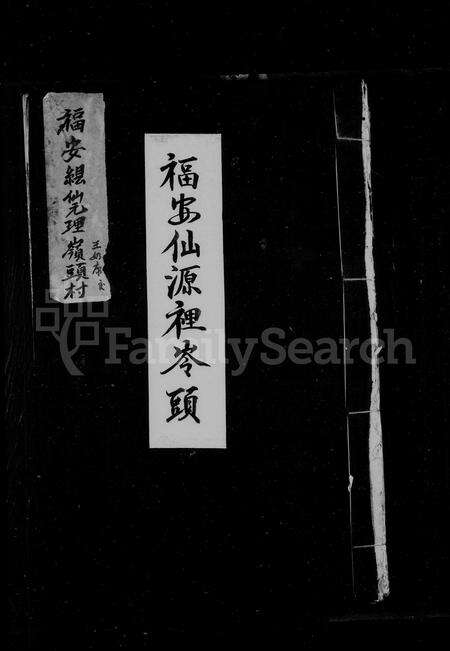 福建王氏族谱-岭头王氏宗谱.pdf电子版预览图1