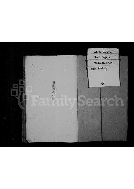 福建王氏族谱-太原郡王氏宗谱.pdf电子版预览图1