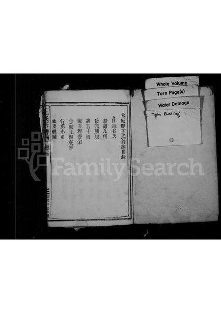 福建王氏族谱-王氏宗谱.pdf电子版预览图1