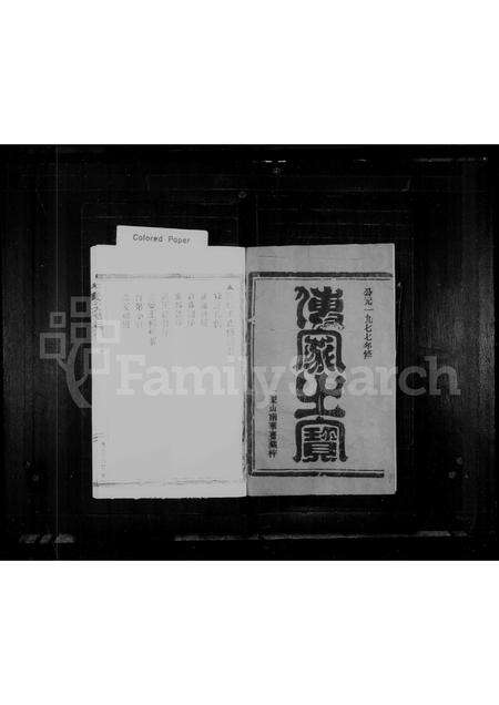 福建王氏族谱-王氏宗谱.pdf电子版预览图1