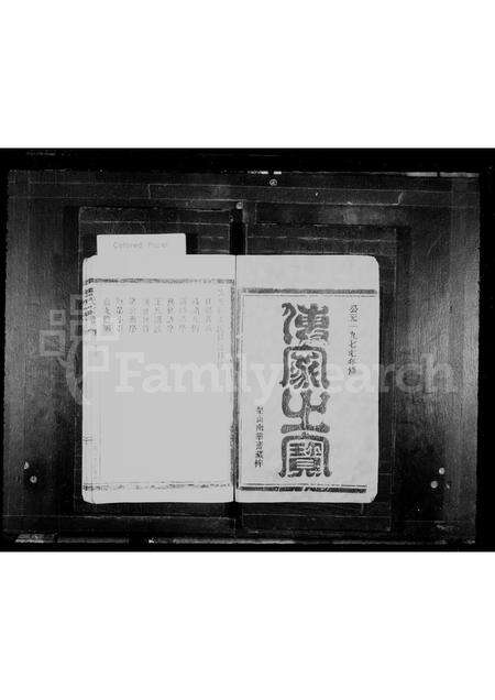 福建王氏族谱-王氏宗谱.pdf电子版预览图1