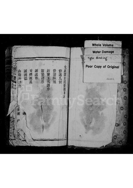 福建王氏族谱-王氏宗谱.pdf电子版预览图1