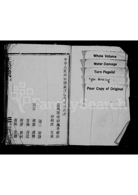 福建王氏族谱-王氏宗谱.pdf电子版预览图1