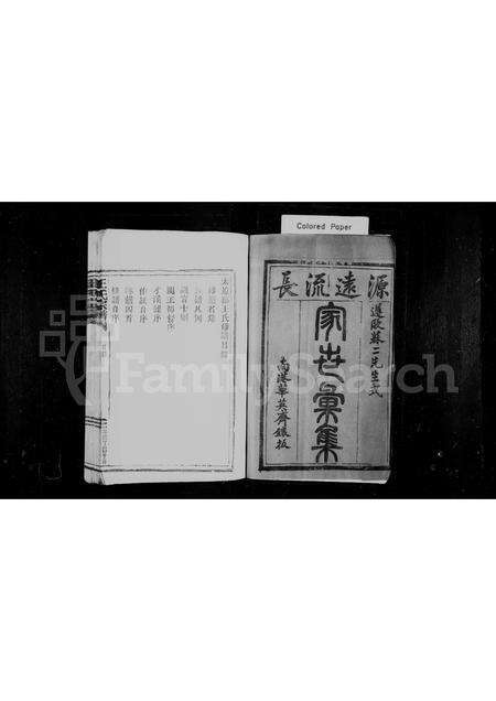 福建王氏族谱-王氏宗谱.pdf电子版预览图1