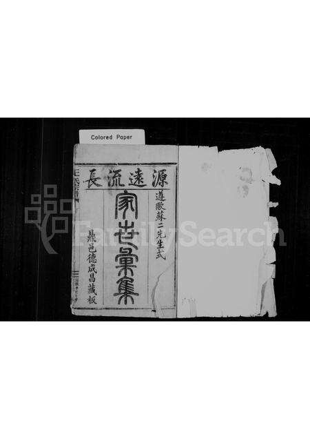 福建王氏族谱-王氏宗谱.pdf电子版预览图1