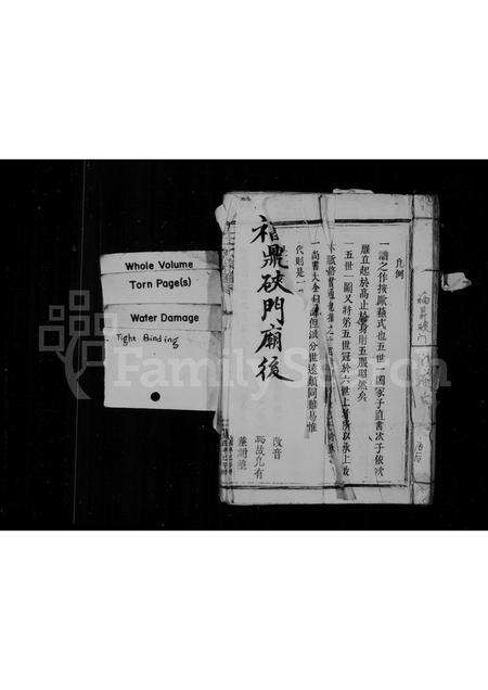 福建王氏族谱-王氏宗谱.pdf电子版预览图1