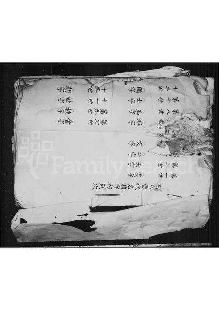 福建王氏族谱-[王氏族谱].pdf电子版预览图1