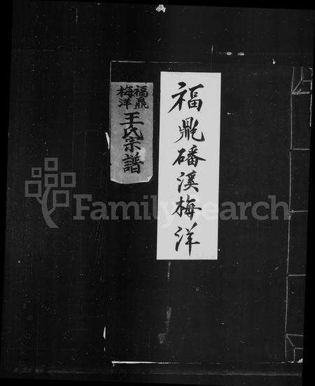 福建王氏族谱-褔鼎梅洋王氏宗谱.pdf电子版预览图1