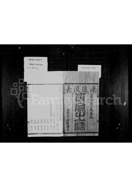 福建王氏族谱-王氏宗谱.pdf电子版预览图1