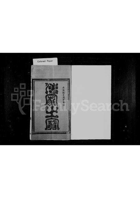 福建王氏族谱-王氏宗谱.pdf电子版预览图1