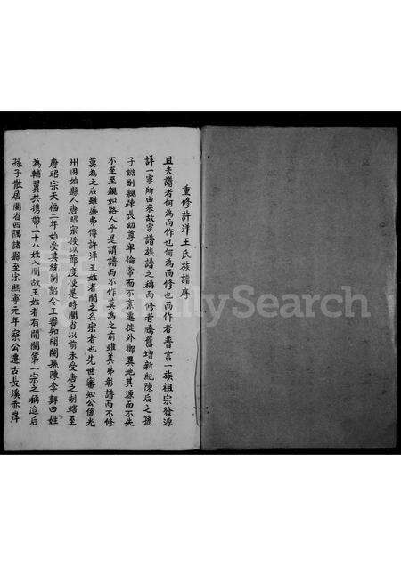 福建王氏族谱-许洋王氏族谱.pdf电子版预览图1