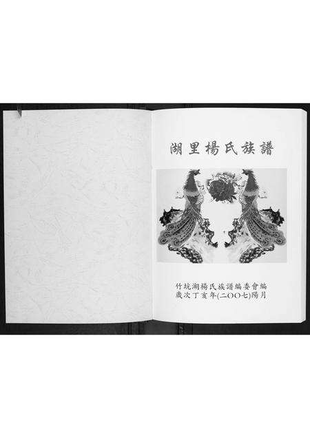 福建杨氏族谱-湖里杨氏族谱.pdf电子版预览图1