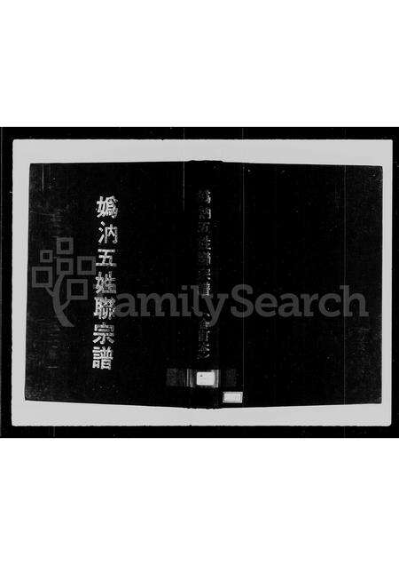 福建姚氏虞氏陈氏田氏胡氏族谱-妫汭五姓联宗谱.pdf电子版预览图1