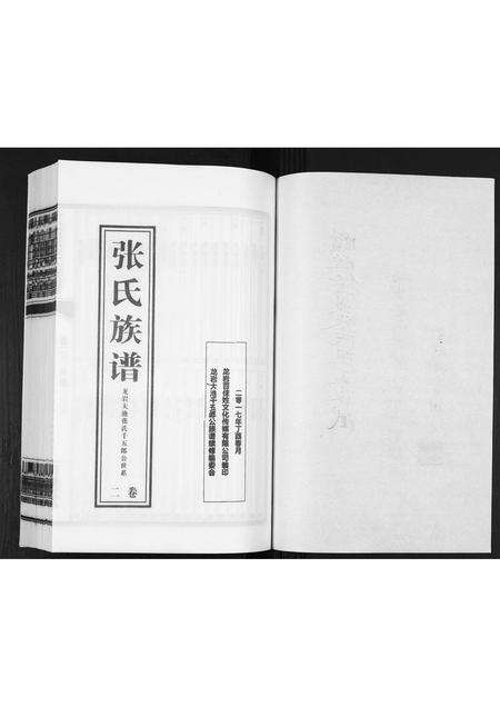 福建张氏族谱-大池张氏族谱[2卷].pdf电子版预览图1
