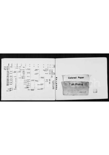 福建张氏族谱-[张氏]青屿天启(益安)安家谱.pdf电子版预览图1