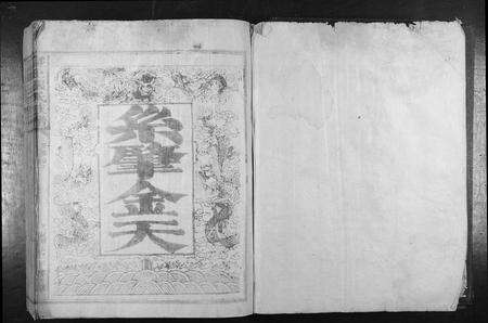 福建张氏族谱-张氏族谱[28卷首1卷].pdf电子版预览图1