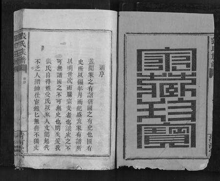 福建张氏族谱-张氏族谱[不分卷].pdf电子版预览图1