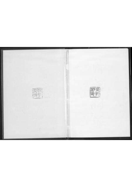 福建张氏族谱-东埔张氏族谱.海沧区东浮镇.pdf电子版预览图1