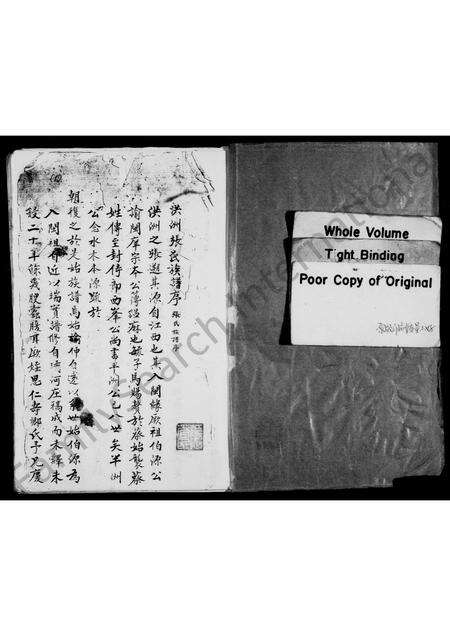 福建张氏族谱-洪州张氏族谱.pdf电子版预览图1