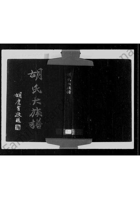 福建胡氏族谱-胡氏大族谱.pdf电子版预览图1