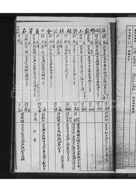 福建许氏族谱-安溪县仙地西庚许氏族谱.pdf电子版预览图1