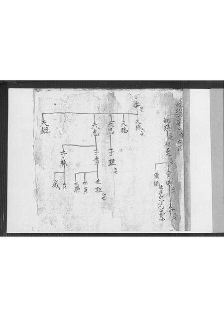 福建郭氏族谱-郭氏家谱.pdf电子版预览图1