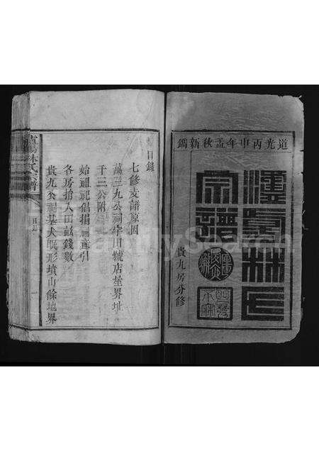 福建林氏族谱-泸阳林氏宗谱 [不分卷].pdf电子版预览图1