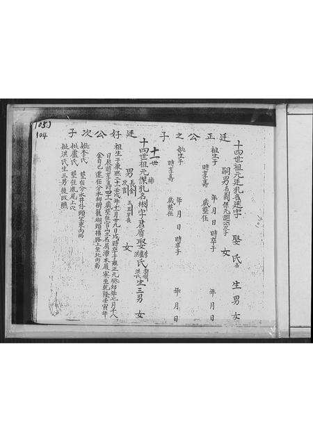 福建林氏族谱-南靖县正本复印林氏族谱 _ 顶次房弘仕公世系派 [不分卷].pdf电子版预览图1