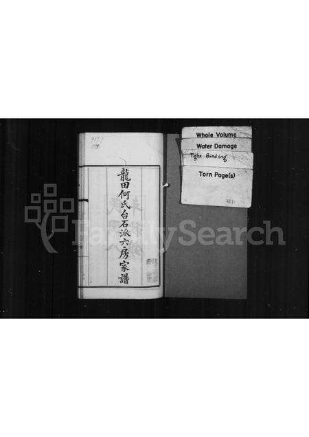 福建何氏族谱-龙田何氏台石派六房家谱.pdf电子版预览图1