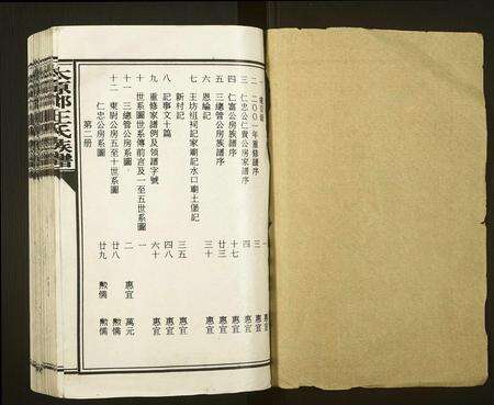 福建王氏族谱-太原郡王氏族谱[13册].pdf电子版预览图1