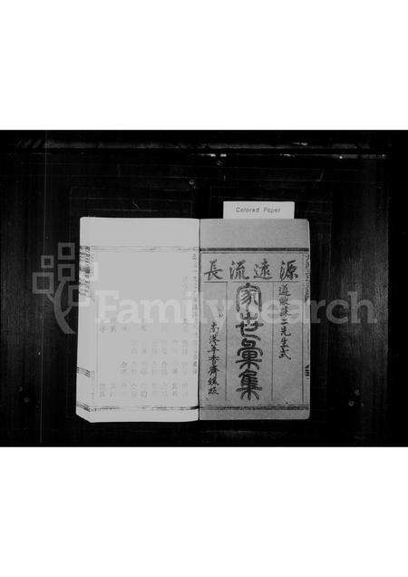 福建王氏族谱-王氏宗谱.pdf电子版预览图1