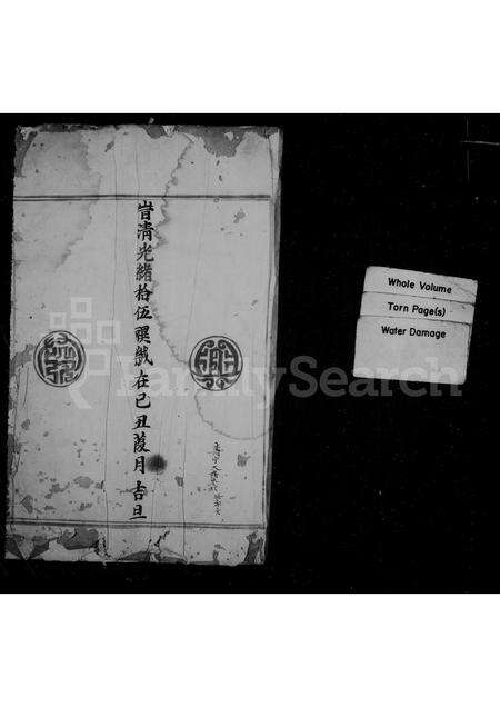 福建王氏族谱-王氏宗谱.pdf电子版预览图1